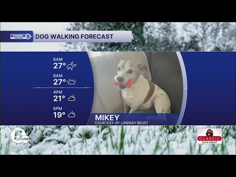 Meet Mikey - YouTube