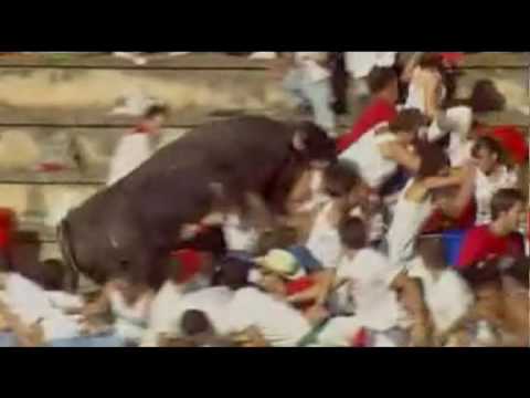 Kampfstier geht auf Zuschauer los. Beitrag von N24 vom 19.08.2010