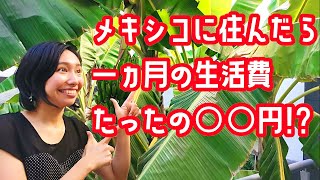 【メキシコ現採】メキシコでの最低限の生活費！！