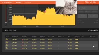 【FX】1万円から始める為替取引【BO】63