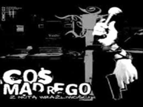 Coś Mądrego - Lova Bejbe