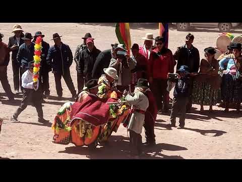 U. E. MOLLIPONGO Carabuco Prov Camacho LaPaz 🇧🇴 2 de agosto de 2024