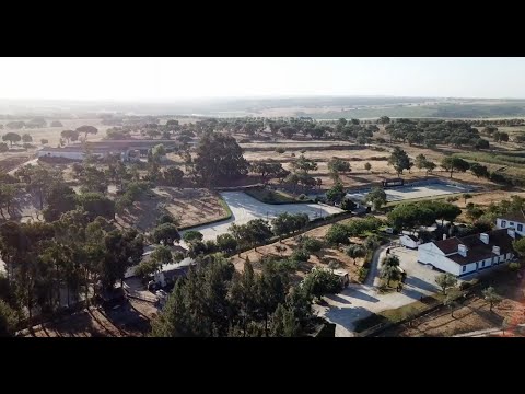 37 Coudelaria Quinta da Hermida