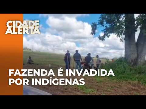 Indígenas invadem uma fazenda em Tamarana, no PR; barracos já estão montados