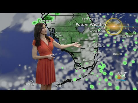 CBSMiami.com Weather @ Your Desk 2-21-19 12PM