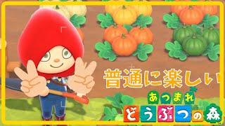 12月にして念願のかぼちゃ畑を島クリエイトする卍【あつまれどうぶつの森】【実況】