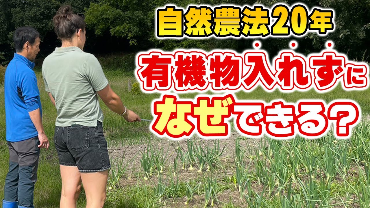 堆肥のある畑を自然農法へ切り替える方法