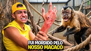 MEU MACACO DE ESTIMAÇÃO ME MORDEU *Machucou muito ? 