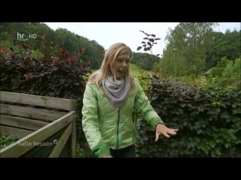 Hessens schönster Garten