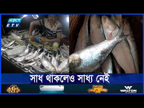 ইলিশের দামদর করতেও সাহস পাচ্ছে না সাধারণ মানুষ
