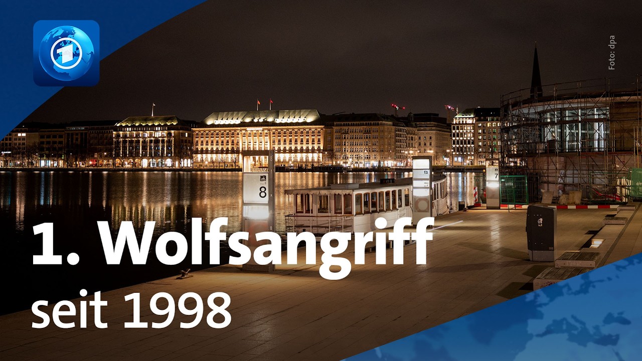 Hamburger Innenstadt: Wolf beißt Frau