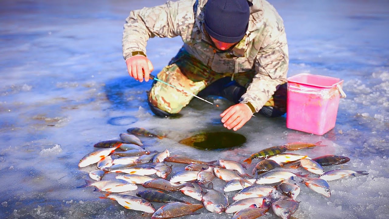 Рыбалка по последнему льду на карася. Весенняя рыбалка на льду. Рыбалка на карпа зимой. Зимняя рыбалка по последнему льду. Окунь по последнему льду.