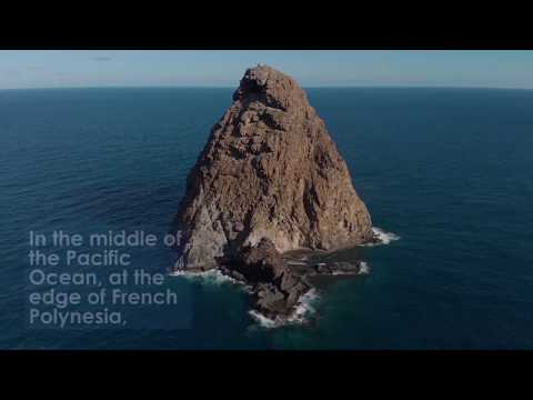 Marquesas Islands | Ocean Conservation