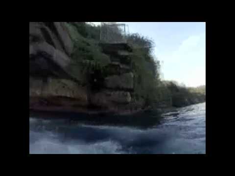 Man Jumps off Cliff, Lands Next to Great White