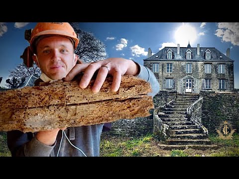 DESTROYED by Parasites | RESTORING The Chateau Beams.