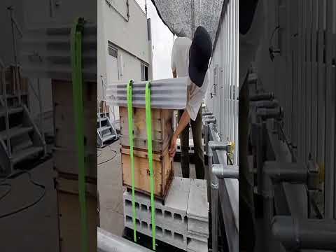 商学科 電気通信大学ショートムービー