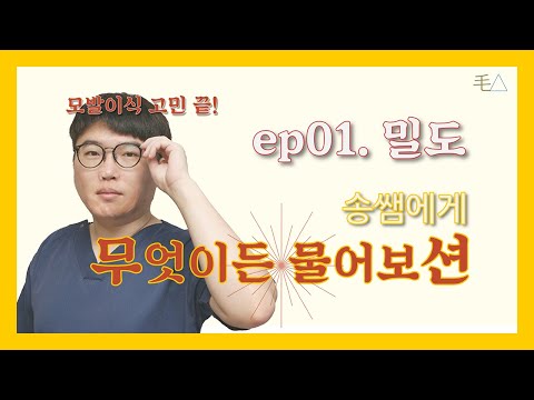 [무엇이든물어보션] ep01. 모발이식 밀도의 모든 것(feat. 송쌤)