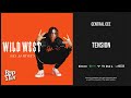 Central Cee - ''Tension'' (Wild West)