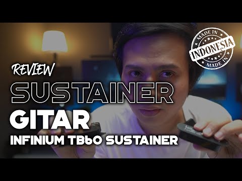 ISUSTAINER - Electric Guitar Sustainer Kit Single Coil 2 Mode Natural & Harmonic ( not sustainiac or fernandes sustainer ) image 6