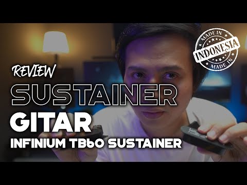 Electric Guitar Sustainer Kit Single Coil Infinium TB60 Sustainer Basic 2 Mode Natural & Harmonic ( not sustainiac or fernandes sustainer ) image 2