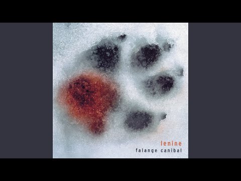 O Silêncio das Estrelas