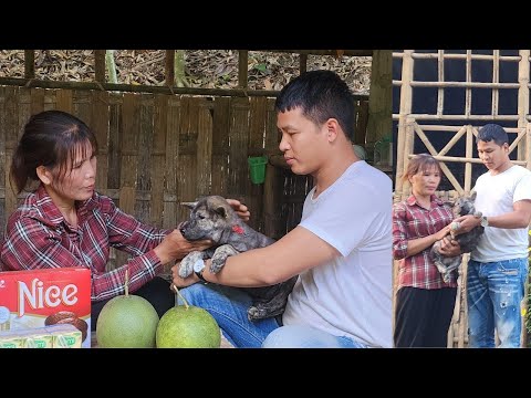 The mystery of the small house in the middle of the forest and the friend who suddenly appeared
