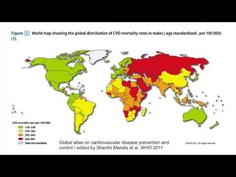 3.1. CVD Prevention - Part 2