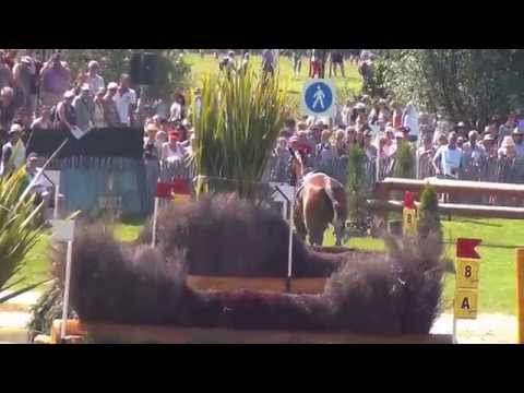 Cross Country CHIO AACHEN 2014