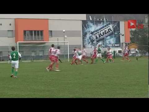 Dalin Myślenice-Limanovia