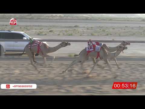  ش 1 (الشاهينية) لـ سلطان عيسى بوفنوشه المنصوري  2:16 , شارة الصندوق 2026/06/27 فطامين الخزنة   