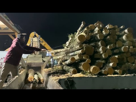 Mega Epic First Night Ever with Wood Chips.