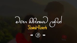 Download lagu Mage Sihinayata Lagin - මගේ සිහිනයට ලගින් (Slowed Reverb) mp3