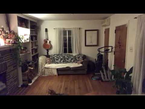 Landstrider and Faun at midnight