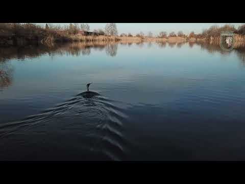 Гребен канал Ямбол