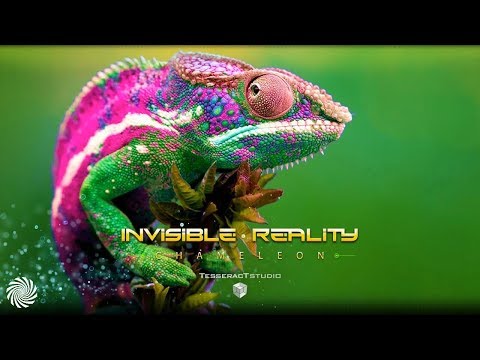 Invisible Reality - Chameleon