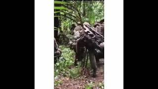 Download lagu Detik-detik tentara terkena ranjau darat yang sangat mematikan mp3