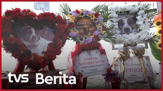 Download lagu Si Tompok, anjing jalanan dijaga penuh kasih sayang | TVS mp3