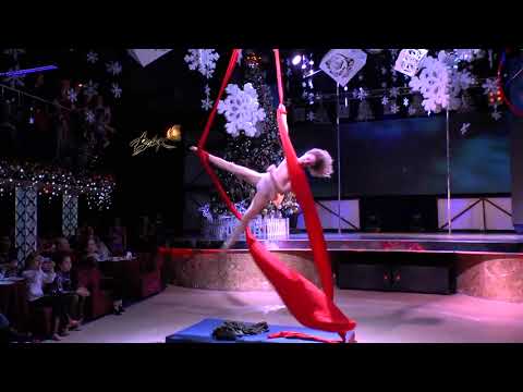Elena Nosulenko Aerial silks