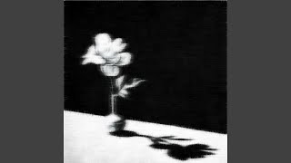 Dissociation Music Video
