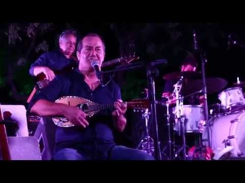 Dioscuri - live 2014