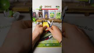 🤩Bringt Pokemon Wachsendes Chaos den wachsenden Kontostrand?🐸Ep 165 #RoadtoGoldstarTreecko #pokemon