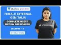 L4: Female External Genitalia | Complete NCERT Review for Boards | Pre-medical - NEET/AIIMS