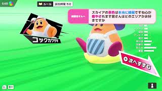 《実況》ＡI実験配信、ほぼスカーフィ専の虹ランク＆集まったらpupupu-league他リプレイ感想《カービィのエアライダー》