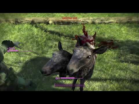 Fallout 4 Survival You're Not SPECIAL part 6