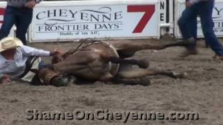 Horse Killed at Cheyenne Rodeo (Graphic)