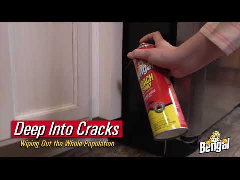 Bengal Roach Spray Distributor 30