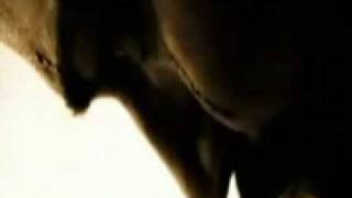 300 Music Video (Haste the Day, Chorus of Angels)