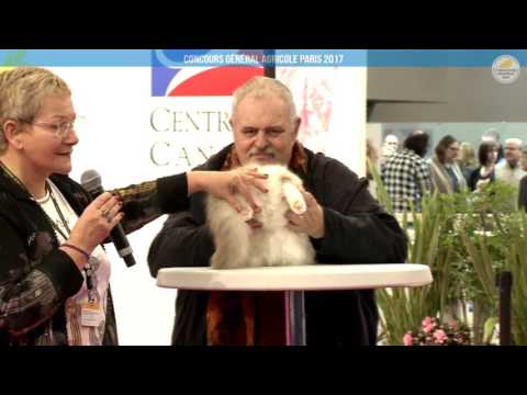 Voir la vidéo : Ring Canins du 27 février 2017, partie 1