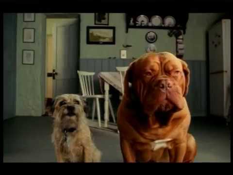 Daz - Rough Game (2002, UK)