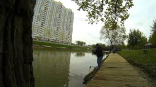 Платная рыбалка в химках новогорск